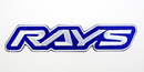 RAYS OFFICIAL NEWロゴ　ワッペン